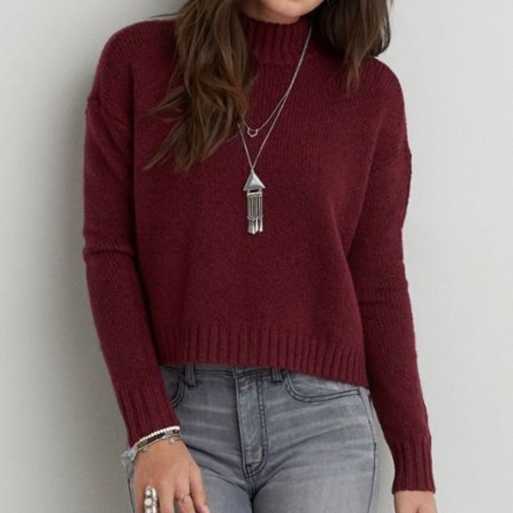 American Eagle Maroon Cropped Turtleneck Sweater